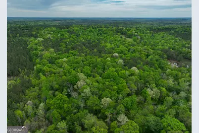 V/L Georgia Kaolin Road, Dry Branch, GA 31020 - Photo 20