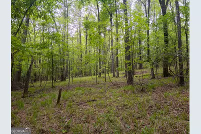 V/L Georgia Kaolin Road, Dry Branch, GA 31020 - Photo 18
