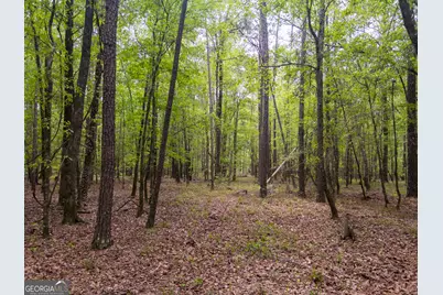 V/L Georgia Kaolin Road, Dry Branch, GA 31020 - Photo 22