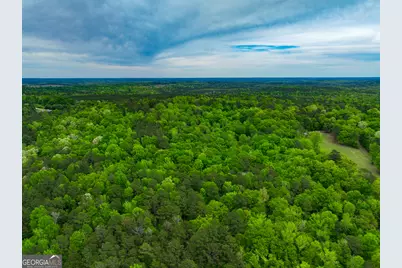 V/L Georgia Kaolin Road, Dry Branch, GA 31020 - Photo 16