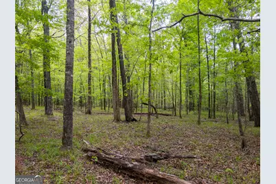 V/L Georgia Kaolin Road, Dry Branch, GA 31020 - Photo 24
