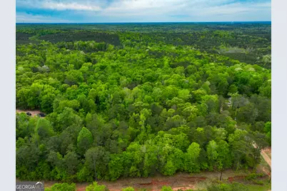 V/L Georgia Kaolin Road, Dry Branch, GA 31020 - Photo 10