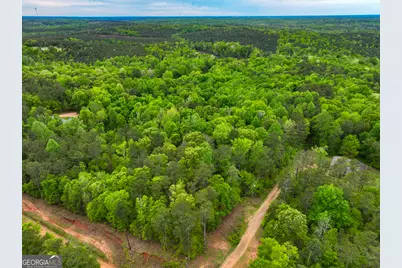 V/L Georgia Kaolin Road, Dry Branch, GA 31020 - Photo 8