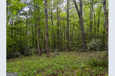 V/L Georgia Kaolin Road, Dry Branch, GA 31020 - Photo 4