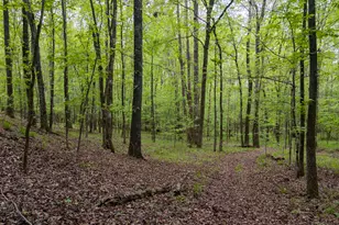 V/L Georgia Kaolin Rd, Dry Branch, GA 31020 - Photo 1