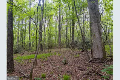 V/L Georgia Kaolin Road, Dry Branch, GA 31020 - Photo 14