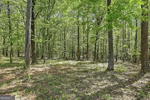 136 Coggins Corner Dr, Newnan, GA 30265 - Photo 44