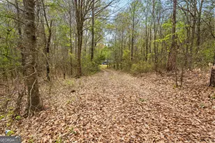 1284 Hwy 18 W, Barnesville, GA 30204 - Photo 12