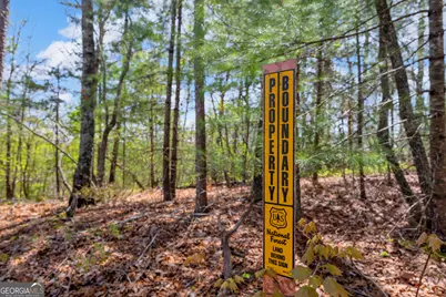 108 Dodge Lane, Lakemont, GA 30552 - Photo 2