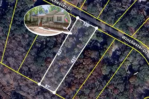 230 Winchester Dr, Sharpsburg, GA 30277 - Photo 44