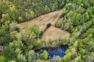 7142 Hamilton Rd, Pine Mountain, GA 31822 - Photo 50