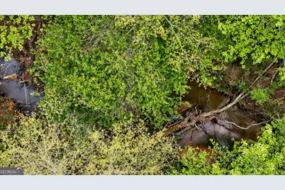 7142 Hamilton Road, Pine Mountain, GA 31822 - Photo 54