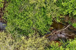 7142 Hamilton Rd, Pine Mountain, GA 31822 - Photo 54