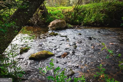 742 Beaver Run Road #16, Blairsville, GA 30512 - Photo 4