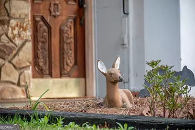 2669 Weaver Creek Road, Blue Ridge, GA 30513 - Photo 54