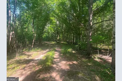0 Old Poor Robin Road, Sylvania, GA 30467 - Photo 14
