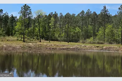 00 Serenity Lane, Vidalia, GA 30474 - Photo 1
