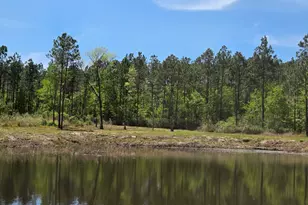 00 Serenity Ln, Vidalia, GA 30474 - Photo 1