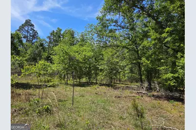 00 Serenity Lane, Vidalia, GA 30474 - Photo 18