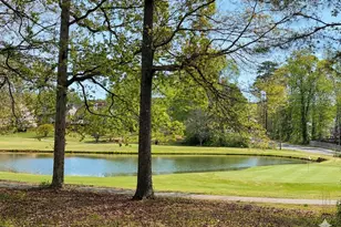 45 Greens Ct, Newnan, GA 30265 - Photo 28