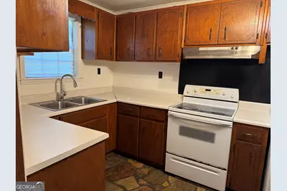 313 Carter St, Greenville, GA 30222 - Photo 10