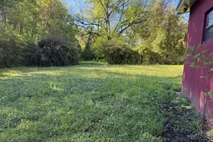 313 Carter St, Greenville, GA 30222 - Photo 20