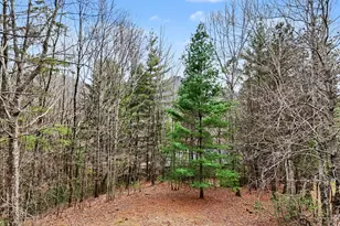 594 Sky High Dr, Sky Valley, GA 30537 - Photo 58