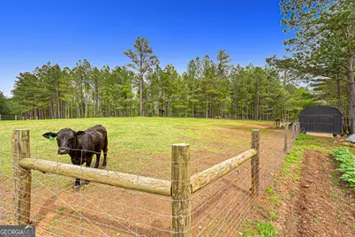 630 Human Road, Bowman, GA 30624 - Photo 34
