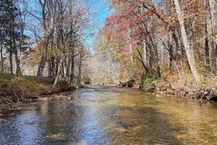 1949 Big Pine Dr, Hiawassee, GA 30546 - Photo 54