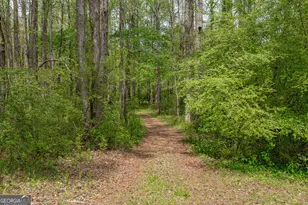 7350 Ono Rd, Palmetto, GA 30268 - Photo 84