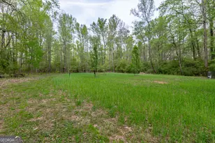 7350 Ono Rd, Palmetto, GA 30268 - Photo 86