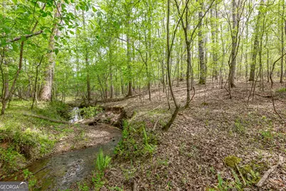 7350 Ono Road, Palmetto, GA 30268 - Photo 88