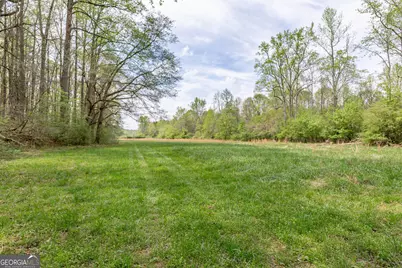 7350 Ono Road, Palmetto, GA 30268 - Photo 90