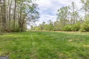 7350 Ono Rd, Palmetto, GA 30268 - Photo 90