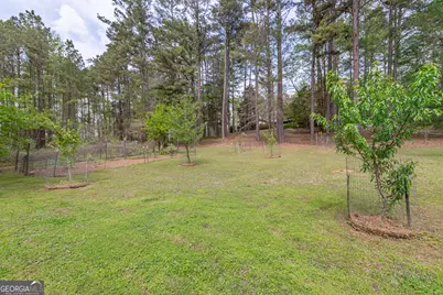 7350 Ono Road, Palmetto, GA 30268 - Photo 94