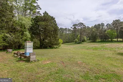 7350 Ono Road, Palmetto, GA 30268 - Photo 80