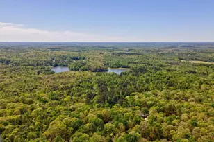 251 Tall Timber Trail, Nicholson, GA 30565 - Photo 48