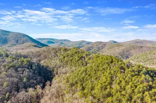 121 Waterfalls Wy, Clarkesville, GA 30523 - Photo 60