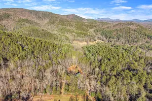 121 Waterfalls Wy, Clarkesville, GA 30523 - Photo 54