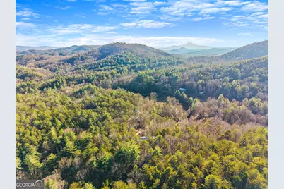 121 Waterfalls Way, Clarkesville, GA 30523 - Photo 58