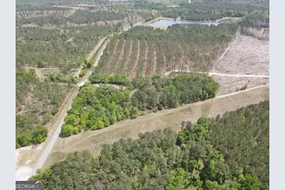 3728 N Highway 1, Midville, GA 30441 - Photo 8