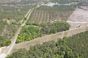 3728 N Hwy 1, Midville, GA 30441 - Photo 8