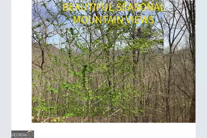 7026 Peebles Road, Young Harris, GA 30582 - Photo 2