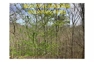 7026 Peebles Rd, Young Harris, GA 30582 - Photo 2