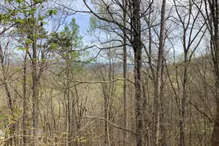 7026 Peebles Rd, Young Harris, GA 30582 - Photo 24
