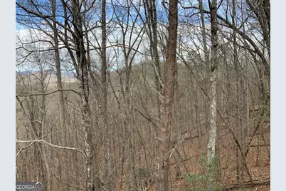 7026 Peebles Road, Young Harris, GA 30582 - Photo 28