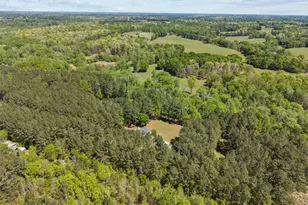 599 Double Branch Rd, Danielsville, GA 30633 - Photo 70