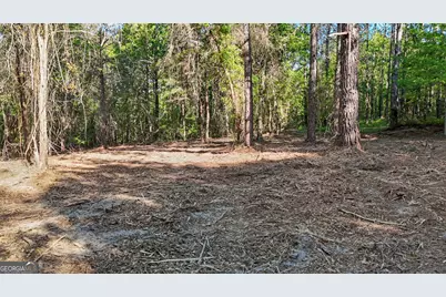 0 Union Church Road, Fort Valley, GA 31030 - Photo 28