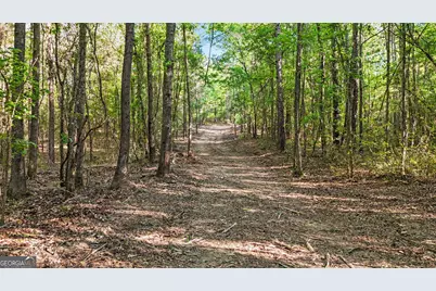 0 Union Church Road, Fort Valley, GA 31030 - Photo 22