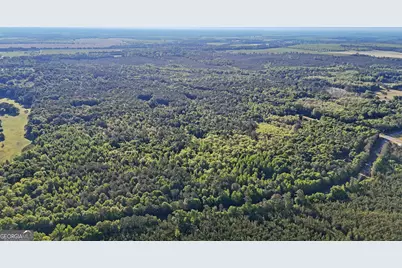 0 Union Church Road, Fort Valley, GA 31030 - Photo 10
